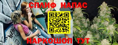 сатива Гусиноозёрск