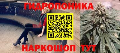 СК Гусев